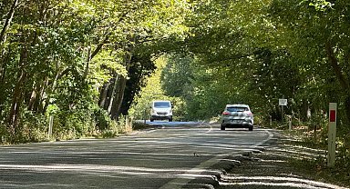 'Ağaç tünel yol' hayran bırakıyor