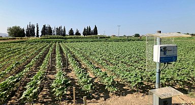 'Tarımsal sulamada yapay zeka yüzde 80 tasarruf sağlıyor'