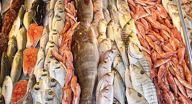 'Türkiye'de dünya standartlarında balık üretiliyor'