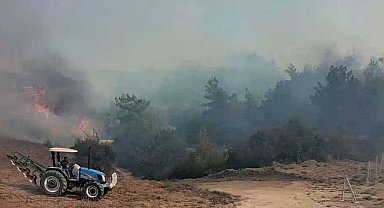 Adana'da orman yangını