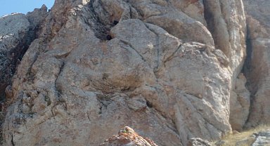 AFAD, mağarada mahsur kalan 3 keçiyi kurtardı