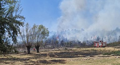 Afyonkarahisar'da orman yangını