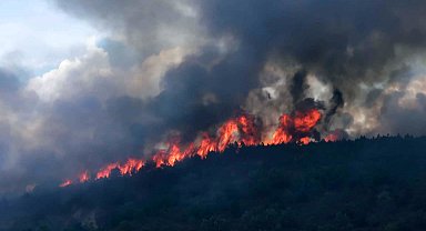 AFYONKARAHİSAR'daki orman yangınında 20 hektar zarar gördü; 2 gözaltı