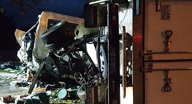 Ağaca çarpan kamyonetteki sürücü ve yanındaki yolcu yaralandı