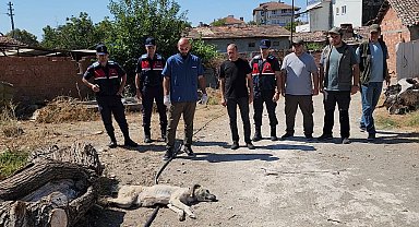 Amasya'da köpeğini kamyonete bağlayıp sürükleyen şüpheliye 1500 lira ceza