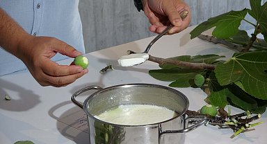 Anadolu'daki 'teleme'nin tarifine 2 bin 750 yıl önce yazılan Homeros'un İlyada Destanı'nda rastlandı