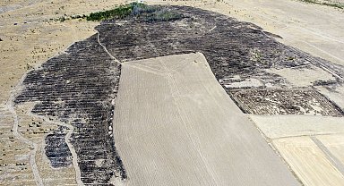 Anız yangını ormana sıçradı