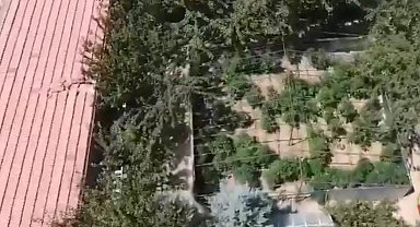 Ankara'da 40 kilo esrar ele geçirildi