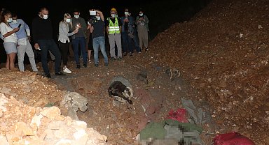 Ankara'da barınak yakınında 11 köpek ölüsü bulundu; soruşturma başlatıldı