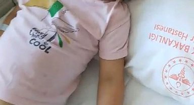 Ankara'da başıboş köpeklerin saldırısına uğrayan Elif, yaralandı