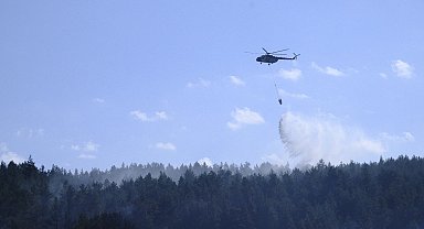 Ankara'da çıkıp Bolu'ya sıçrayan orman yangını kontrol altına alındı