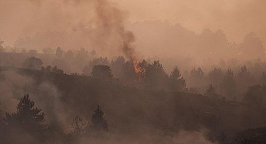 Ankara'da çıkıp Bolu'ya sıçrayan orman yangını kontrol altına alındı