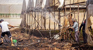 Antalya'da orman yangını 1 saatte kontrol altına alındı