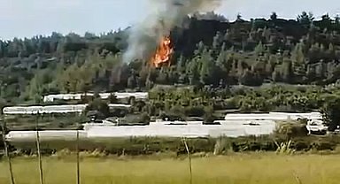 Arı kovanlarını tütsülemek isterken ormanı yaktı; alevler 2 saatte söndürüldü