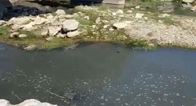 Atıklarını dereye boşaltan patates firmasına ceza