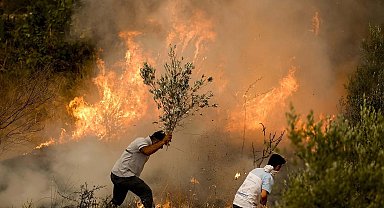 Aydın'da maki yangını