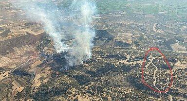 Aydın'da maki yangını