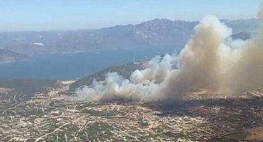 Aydın'da makilik yangını