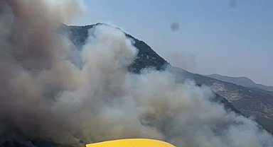 Aydın'da makilikte çıkan yangın, ormana sıçradı