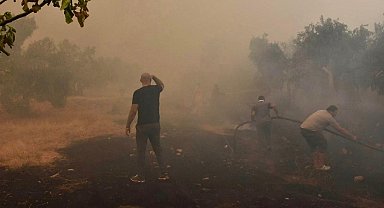 Aydın'da makilikte çıkan yangın, ormana sıçradı