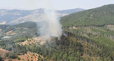 Aydın'da orman yangını