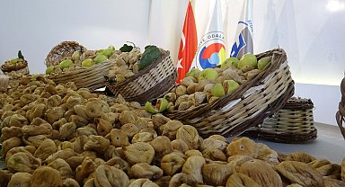 Aydın'da sezonun ilk kuru inciri, temsili olarak kilosu 700 TL'den alındı