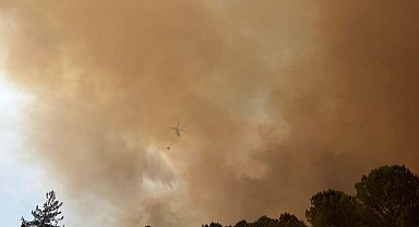 Aydın'daki orman yangını 4'üncü gününde; alevler Kavaklıdere sınırına ulaştı