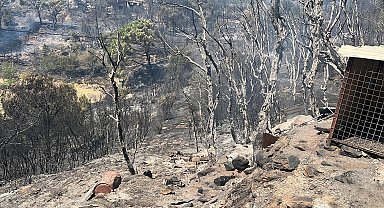 Aydın'daki orman yangınında 2'nci gün; 3 ev ve çiftlik yandı
