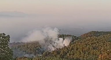 Aydın'daki orman yangınında 2'nci gün