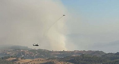 Aydın'daki orman yangınında 2'nci gün