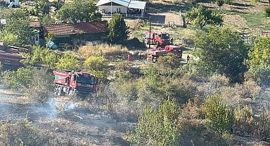 Bahçe yangını ormana sıçradı