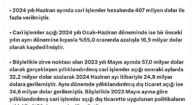 Bakan Bolat: Cari işlemler hesabı fazla verdi