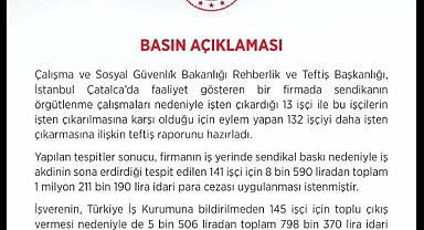 Bakanlıktan, 145 kişiyi işten çıkaran firmaya 2 milyon lira ceza