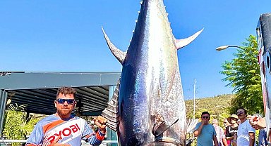Balıkçılar, oltayla 317 kilogramlık orkinos yakaladı