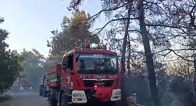 Balıkesir'de orman yangını