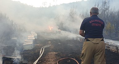 Balıkesir'de yangını müdahale eden ekipler, arılar nedeniyle zor anlar yaşadı