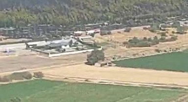 Bergama'da orman yangını