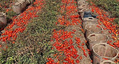 Beyoğlu Belediyesi'nden çiftçilere destek