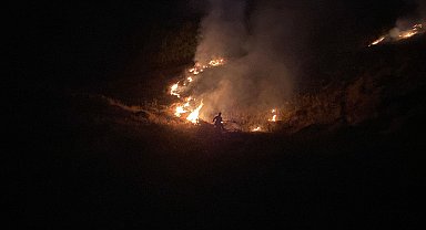 Bingöl'de 6 noktadaki orman ve örtü yangını söndürüldü