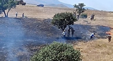 Bingöl'de anız yangını, 5 saatte söndürüldü