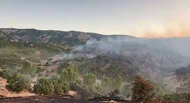 Bingöl'de çıkan orman yangını, söndürüldü