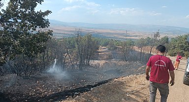 Bingöl'de orman yangını 2 saatte söndürüldü