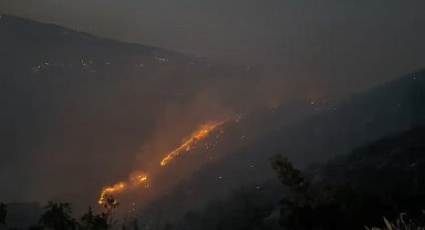Bingöl'de orman yangını
