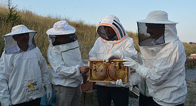 Bitlis Üniversitesi'nde 'bal' hasadı