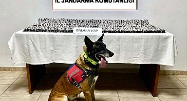 Bodrum'da 4 bin 756 sentetik hap ele geçirildi