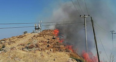 Bodrum'da otluk ve makilik yangını