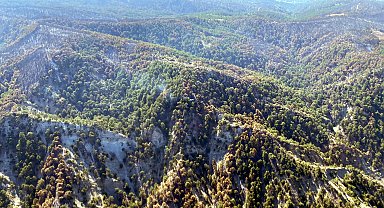 Bolu'da kontrol altına alınan orman yangınında soğutma çalışması