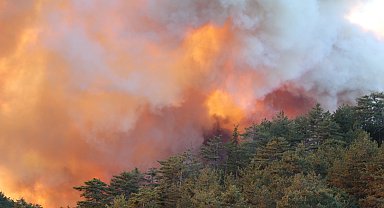 Bolu'da orman yangını 2'nci gününde