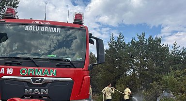 Bolu'da orman yangını 3 saatte kontrol altına alındı