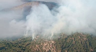 Bolu'da orman yangınında 3'üncü gün